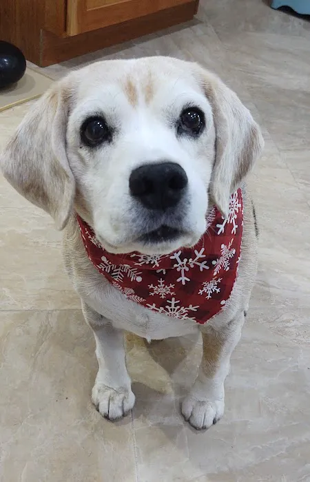 Banfield Pet Hospital 5