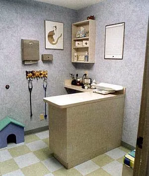 Cat Hospital On Park Street 5