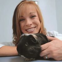 Avian and Animal Hospital ico