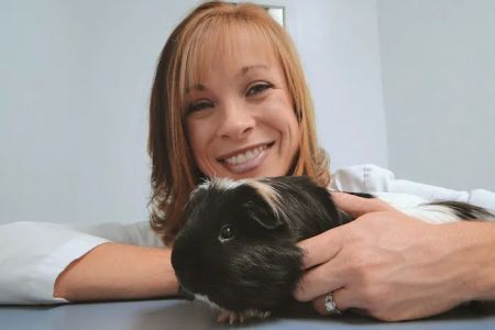 Avian and Animal Hospital