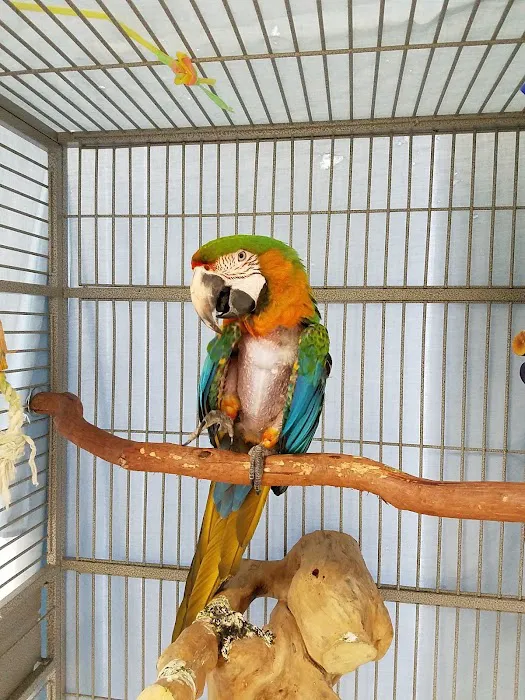 Avian and Animal Hospital 12