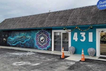 Veterinary Healing Arts