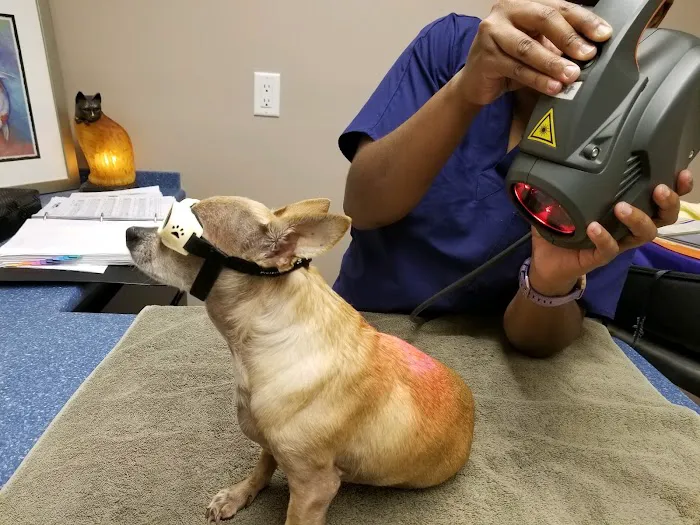 Veterinary Healing Arts 12