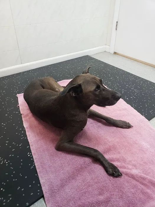 Sun-Surf Animal Hospital 12