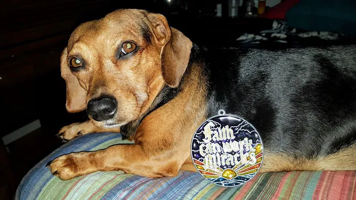 Bluffs Animal Hospital PA 4