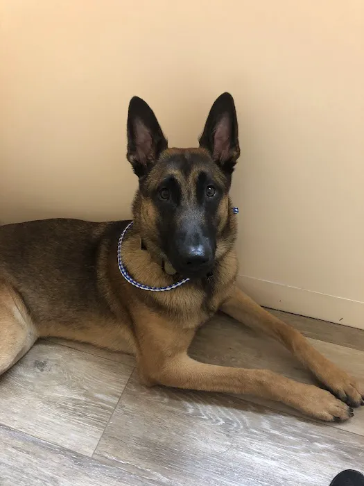 Bluffs Animal Hospital PA 5