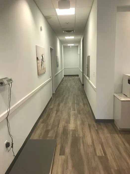 Specialists in Companion Animal Neurology (SCAN) - Clearwater 12