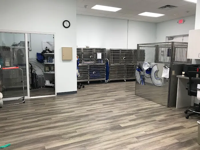 Specialists in Companion Animal Neurology (SCAN) - Clearwater 12