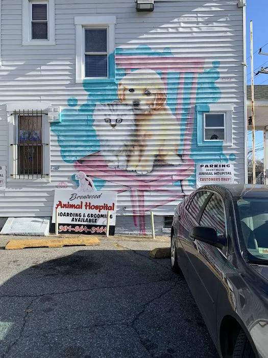 Brentwood Animal Hospital 12