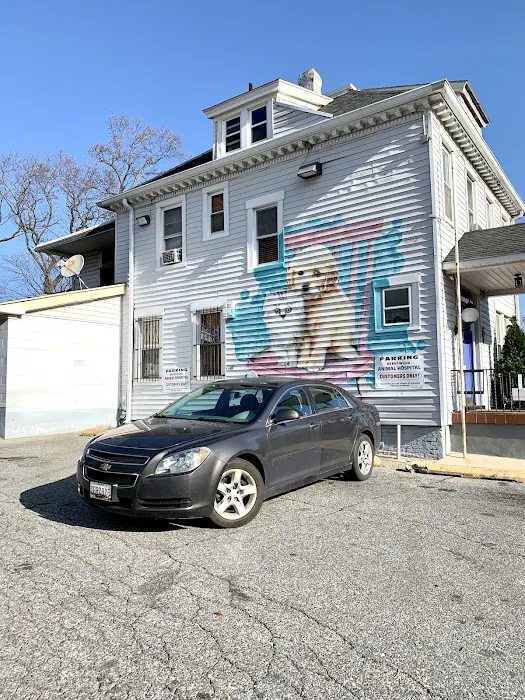 Brentwood Animal Hospital 12