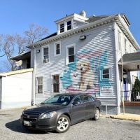 Brentwood Animal Hospital ico