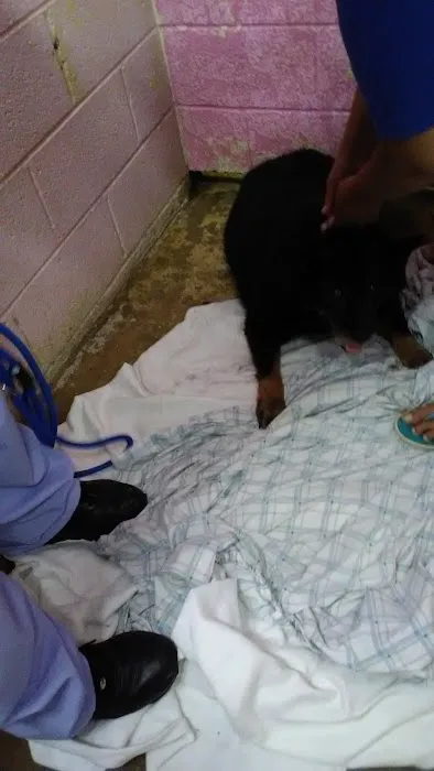 Hyattsville Animal Hospital 12