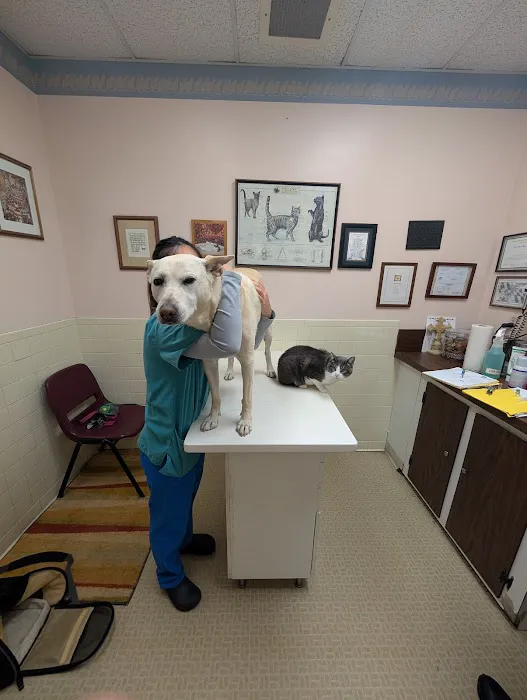 Hyattsville Animal Hospital 12