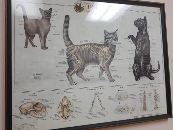 Hyattsville Animal Hospital 12
