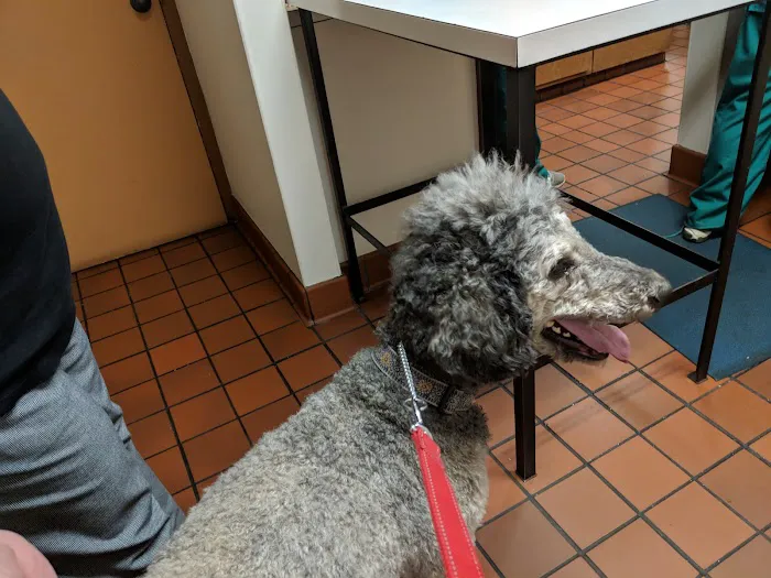 Lynn Animal Hospital 12