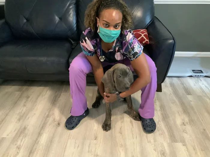 Doorstep Veterinary Care 8