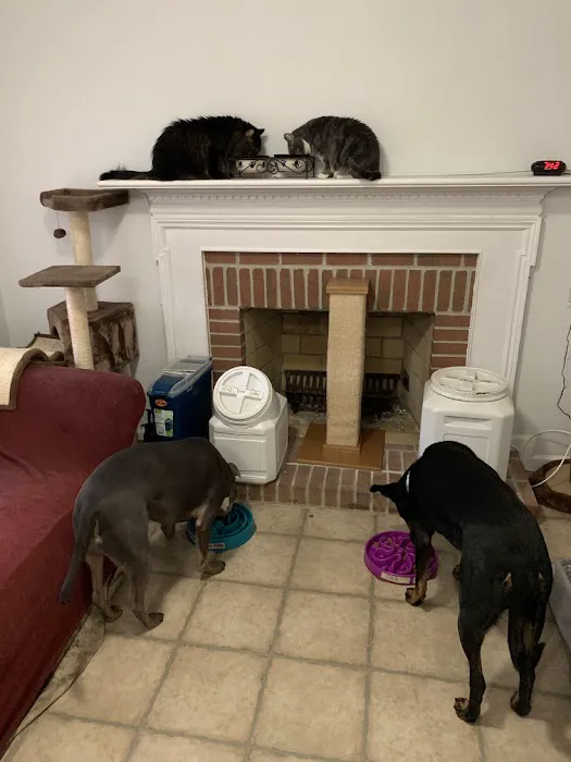 Doorstep Veterinary Care 3