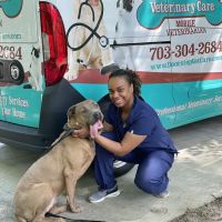 Doorstep Veterinary Care ico