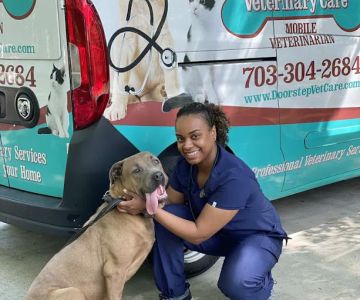 Doorstep Veterinary Care