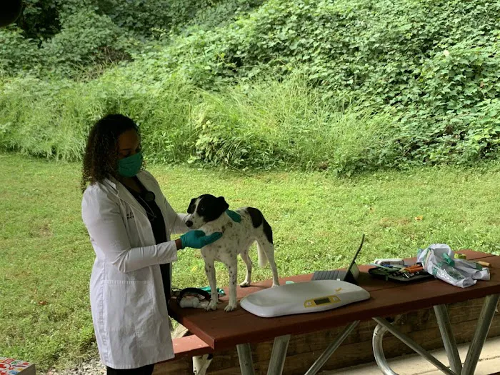 Doorstep Veterinary Care 9