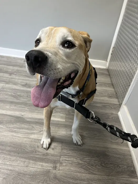 Tails and Scales Veterinary Center 12