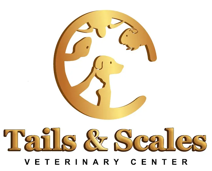 Tails and Scales Veterinary Center 12