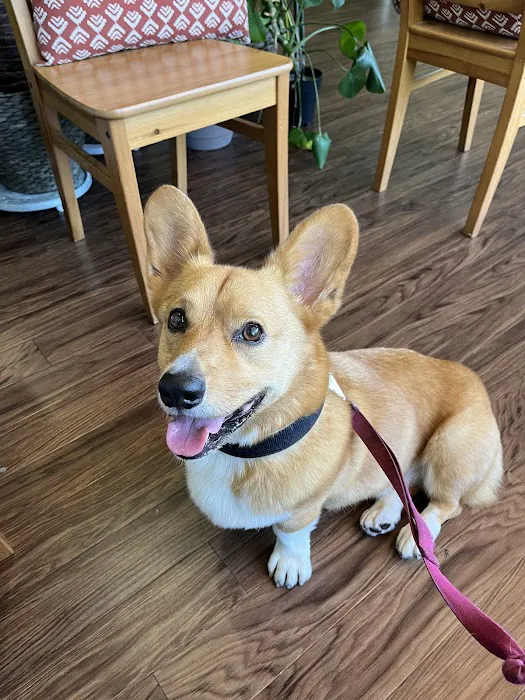 Family Pet Veterinary Practice | Silver Spring MD 12