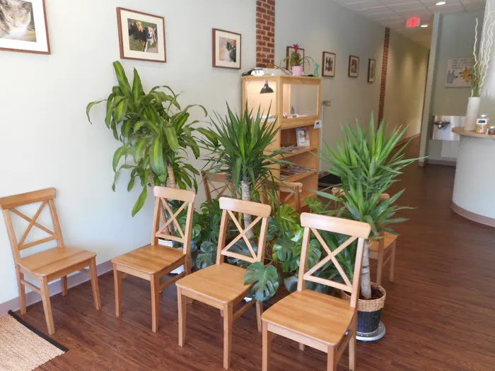 Family Pet Veterinary Practice | Silver Spring MD 12