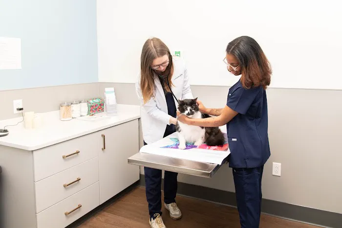 PetMedic Urgent Care Vet Clinic - Old Town 12