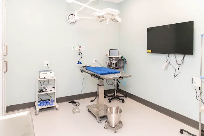 PetMedic Urgent Care Vet Clinic - Old Town 12