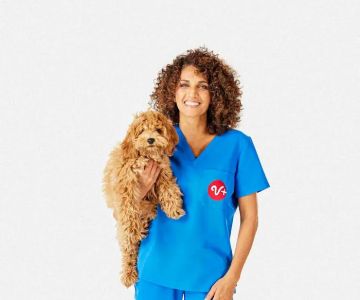 PetSmart Veterinary Services - Oxon Hill