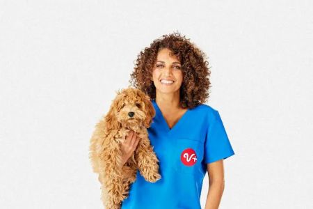 PetSmart Veterinary Services - Oxon Hill