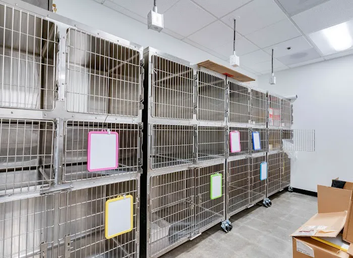 PetSmart Veterinary Services - Oxon Hill 12