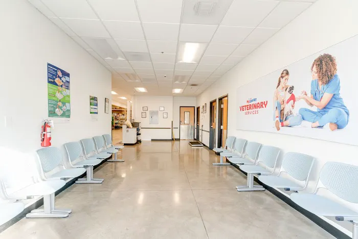 PetSmart Veterinary Services - Oxon Hill 12