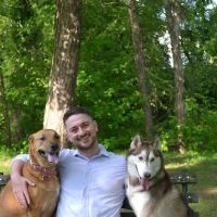 EMMAvet ico