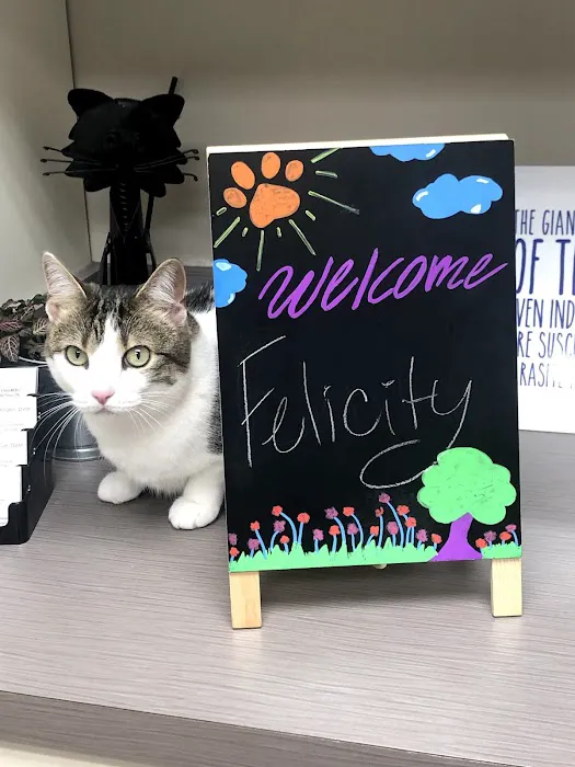 Shirlington Animal Hospital 1