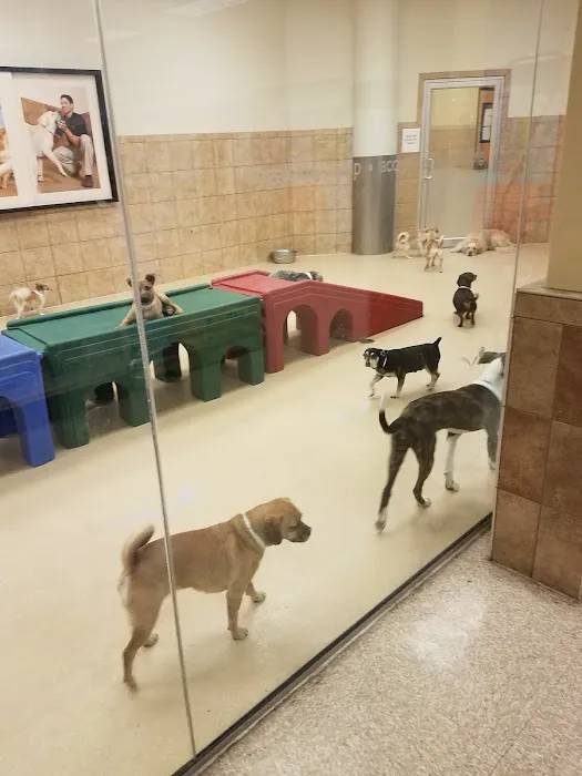 Banfield Pet Hospital 4