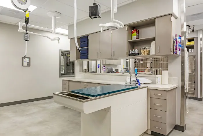 Livewell Animal Hospital of Chevy Chase 12