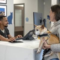 Livewell Animal Hospital of Chevy Chase ico