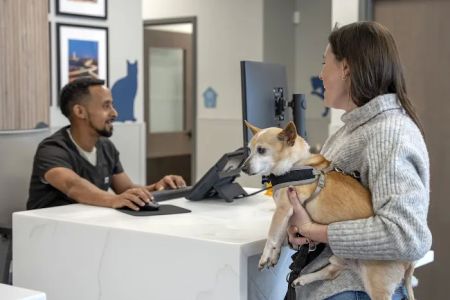 Livewell Animal Hospital of Chevy Chase