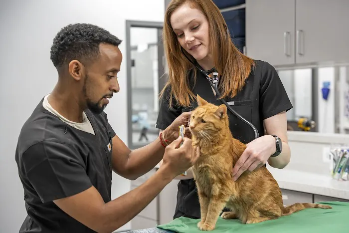 Livewell Animal Hospital of Chevy Chase 12