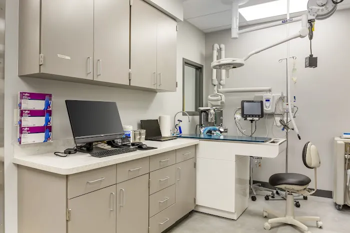 Livewell Animal Hospital of Chevy Chase 12
