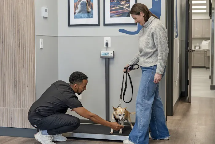 Livewell Animal Hospital of Chevy Chase 12