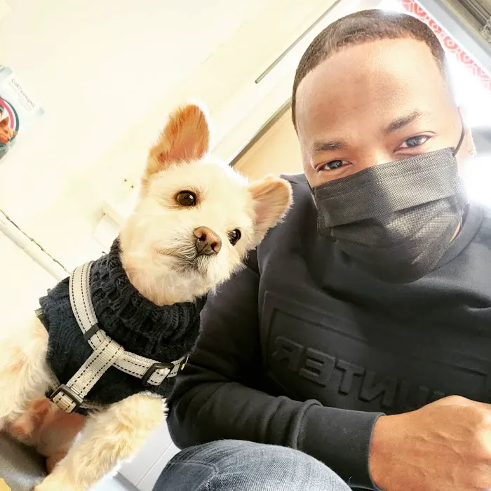 PetsFirst TLC Veterinary Center 12