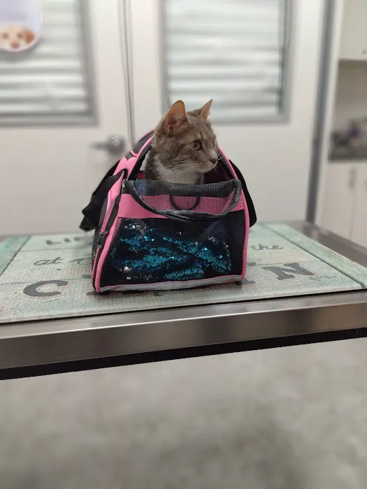 PetsFirst TLC Veterinary Center 12