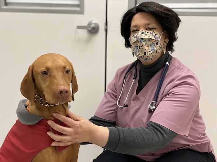 PetsFirst TLC Veterinary Center 12