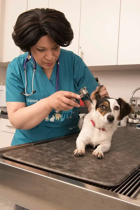 PetsFirst TLC Veterinary Center 12