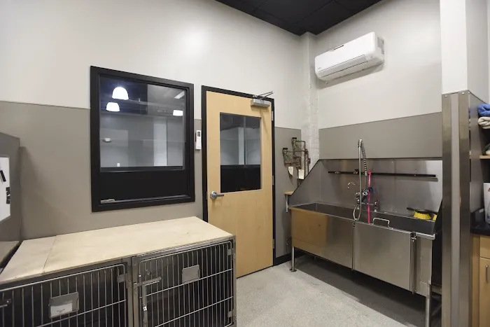 Kenwood Animal Hospital Inc 12