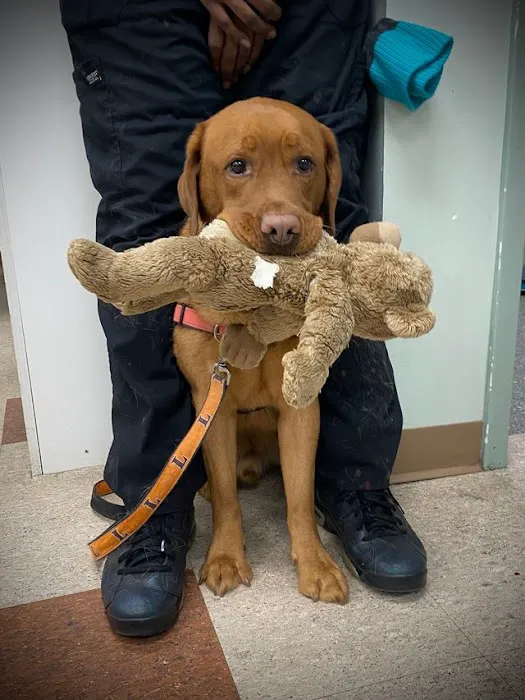 Kenwood Animal Hospital Inc 12