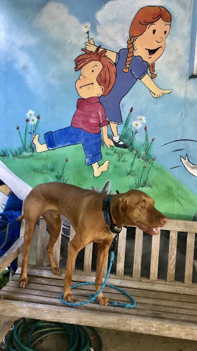 Del Ray Animal Hospital 2